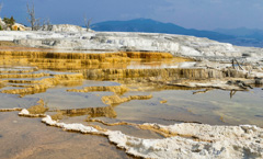 Mammoth Hot Springs, Yellowstone National Park, Wyoming 2018 (Bonhomme)